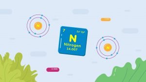 nitrogen dan kebergunaannya