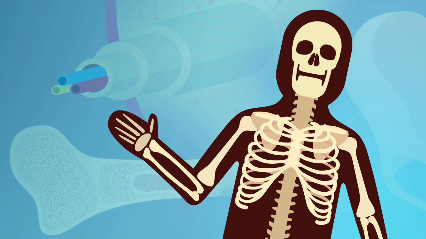 Tulang-tulang dalam tubuh manusia menyusun suatu sistem