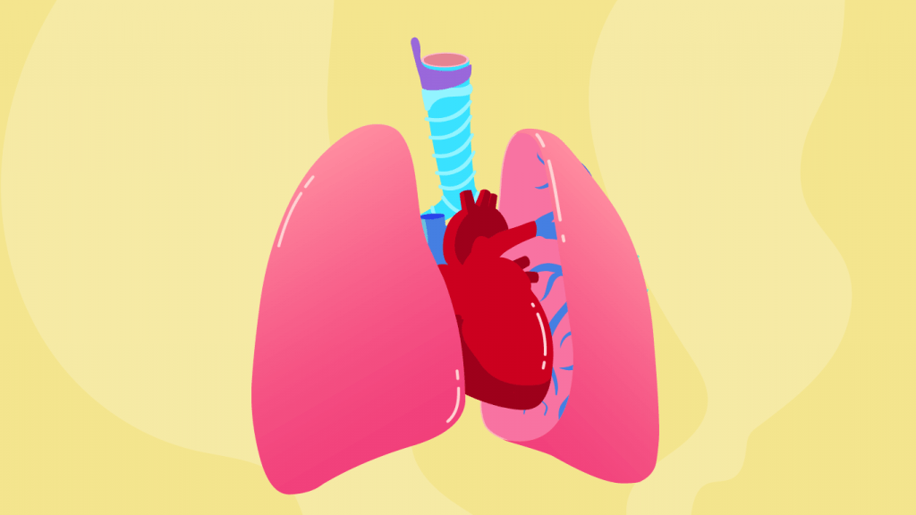 Mengenal paru-paru