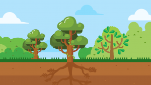 Pahamify - Jaringan Tumbuhan