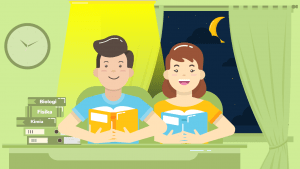 Kaidah Kebahasaan Novel