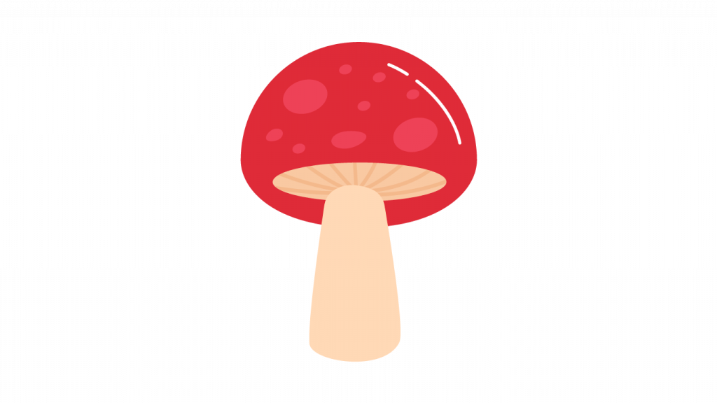 Sudah jamur adalah tanaman yang pada salah sprofit yang hidup jenis satu mati Jenis Jenis
