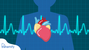 Sistem Peredaran Darah