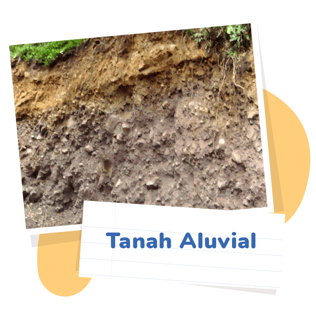 Tanah yang berasal dari batuan induk batu kapur dan tuffa vulkanik serta kandungan organiknya rendah disebut tanah