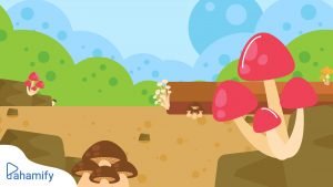 Pengelompokkan Jamur Berdasarkan Fungsinya