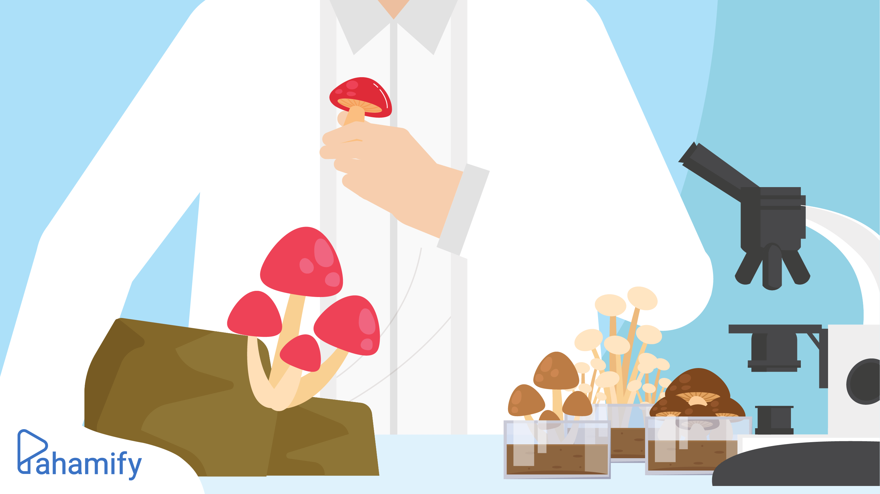 Klasifikasi kingdom fungi dan struktur tubuh jamur
